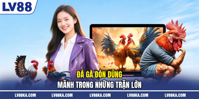 Đá gà đòn dũng mãnh trong những trận lớn