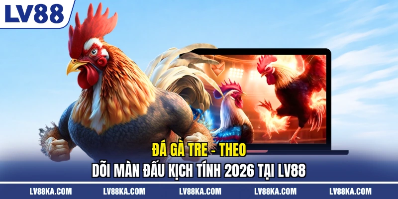 Đá gà tre