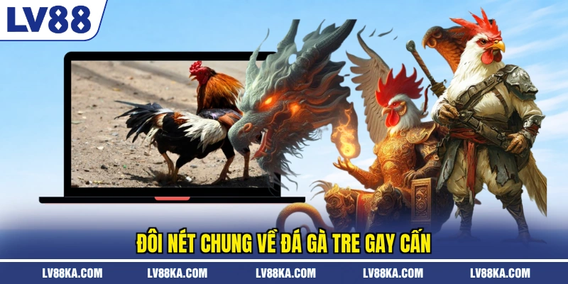 Đôi nét chung về đá gà tre gay cấn