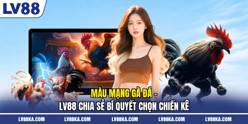 Màu mạng gà đá