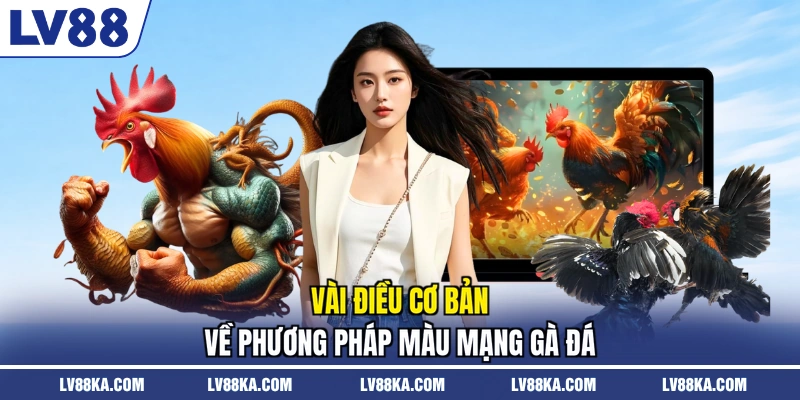 Vài điều cơ bản về phương pháp màu mạng gà đá